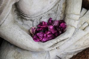 Buddha hands with lotus flower petals